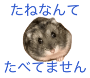841892462