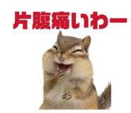 841892655