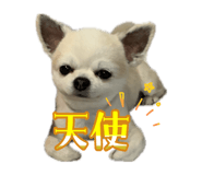 841892766