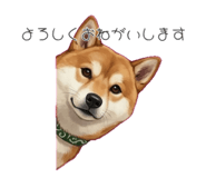 841892878