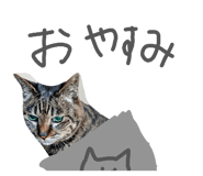 841893399