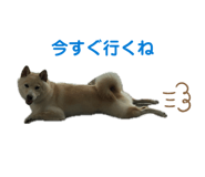 841893833