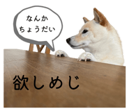 841893842
