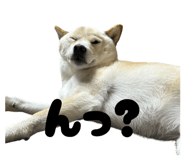 841893846