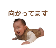 841893856