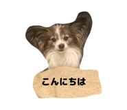 841894835