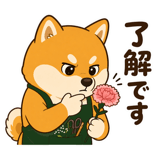 841895020