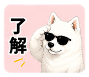 841895054