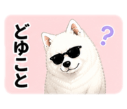 841895070