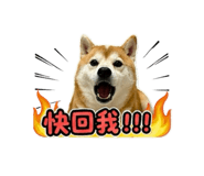 841895263