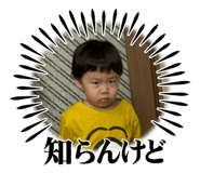841895532