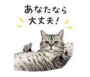841896690