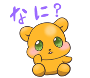 841897062