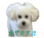 841898069