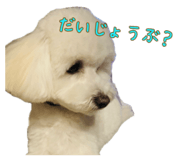 841898078