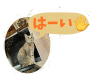 841898488