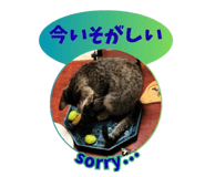 841898495