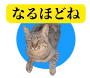 841898498