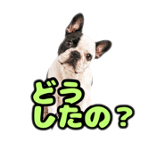 841898716