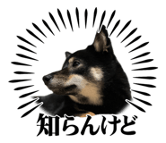841898812