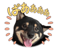841898818
