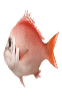841899943