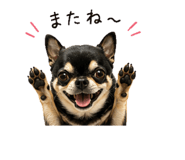 841900304