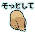 841900778