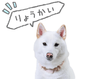 841900788