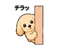841900902