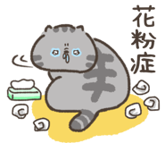 841900943