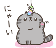 841900964