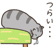 841900974