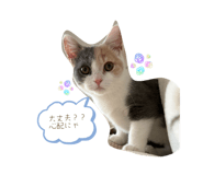 841901504