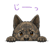 841901691