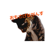 841902463