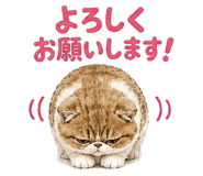841907455