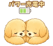841908904