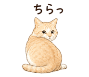 841909108
