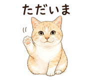 841909113
