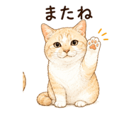 841909135