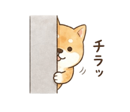 841909238