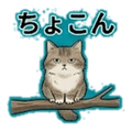 841910193