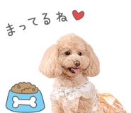 841910312