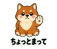 841910927