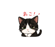 841911151