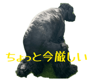 841911527