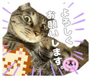 841911579