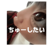 841911953