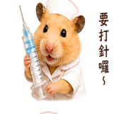 841913936